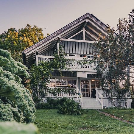 Gardenia-Altach, 2-4 P, Kueche, Garten, Terrasse, Parkplatz, Wifi, Ski Stellplatz Buitenkant foto